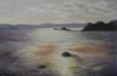 
Shoreline Sunrise by Joanne Leiser

