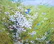 
White Daisies by Unsigned
