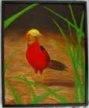 
Golden Pheasant by George Wright
