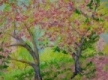 
Blossoms in Central Park by Ethel Cutler
